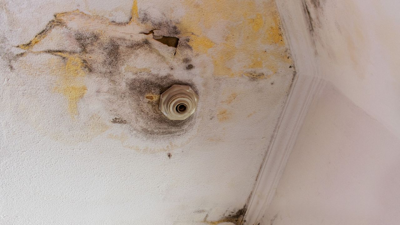 infiltrazioni gorizia